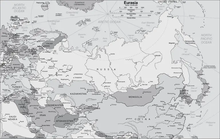 INTRODUCTION In July 2018 Russia showed its best face to the world as it - фото 2