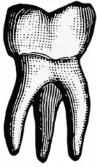 BIZARRO PULP PRESS an imprint of JournalStone Publishing Copyright 2018 by - фото 3