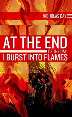 Nicholas Day At the End of the Day I Burst into Flames обложка книги
