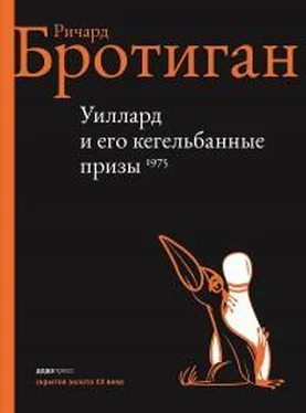 Ричард Бротиган Уиллард и его кегельбанные призы обложка книги