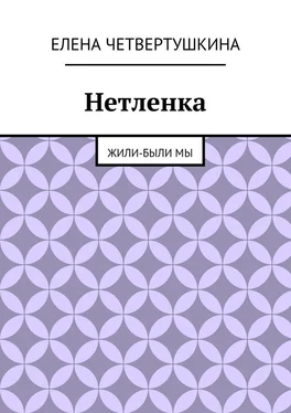 Елена Четвертушкина Нетленка обложка книги