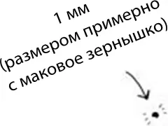 В начале третьей недели скопление клеток которое в скором времени станет вами - фото 14