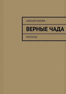 Алексей Комлев Верные чада обложка книги