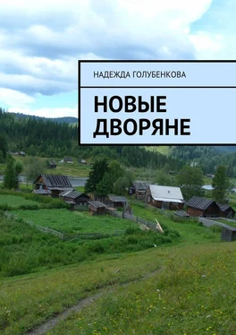 Надежда Голубенкова Новые дворяне обложка книги