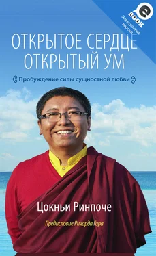 Цокньи Ринпоче Открытое сердце. Открытый ум. Пробуждение силы сущностной любви обложка книги