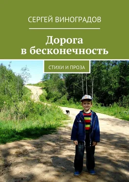Сергей Виноградов Дорога в бесконечность обложка книги