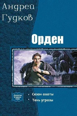 Андрей Гудков Орден. Дилогия (СИ) обложка книги