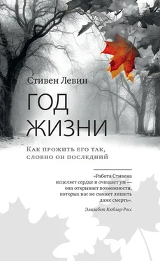 Стивен Левин Год жизни. Как прожить его так, словно он последний обложка книги