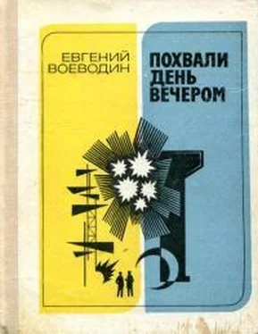 Евгений Воеводин Похвали день вечером обложка книги