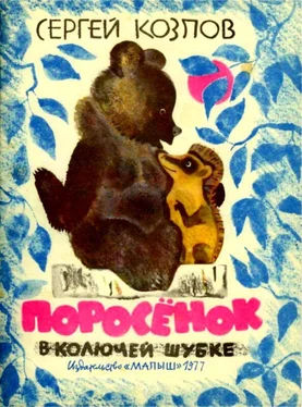 Сергей Козлов Поросенок в колючей шубке [Сказки] обложка книги