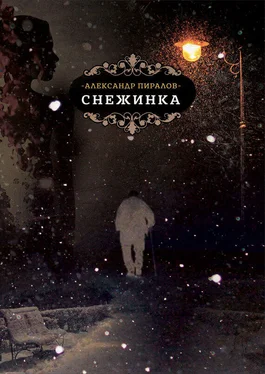 Александр Пиралов Снежинка обложка книги