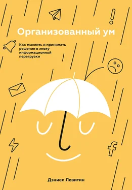 Дэниел Левитин Организованный ум обложка книги