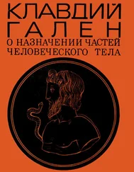 Клавдий Гален - О назначении частей человеческого тела