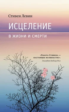 Стивен Левин Исцеление в жизни и смерти обложка книги