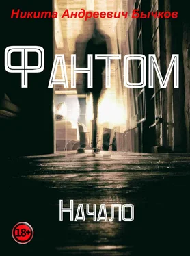 Никита Бычков Фантом – Начало обложка книги