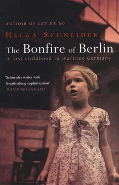 Helga Schneider The Bonfire of Berlin: A Lost Childhood in Wartime Germany обложка книги