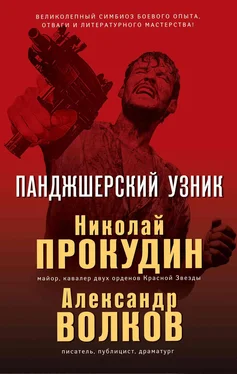 Николай Прокудин Панджшерский узник обложка книги