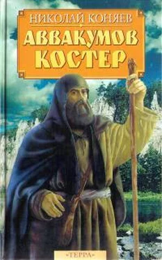 Николай Коняев Аввакумов костер обложка книги