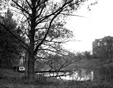 Так выглядит сегодня графский пруд Октябрь 2006 г Фото автора АП - фото 15