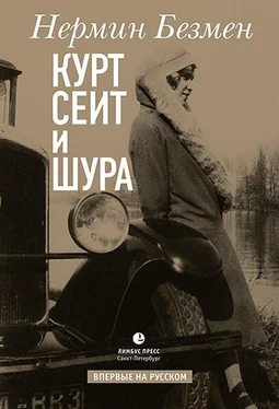 Нермин Безмен Курт Сеит и Шура обложка книги