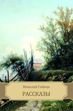 Николай Гейнце Рассказы обложка книги