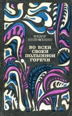 Фёдор Непоменко Во всей своей полынной горечи обложка книги