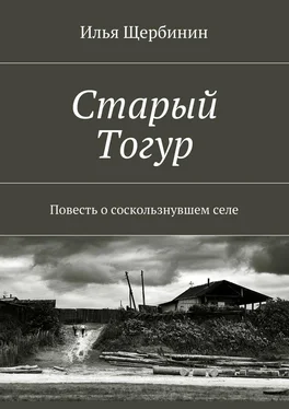 Илья Щербинин Старый Тогур обложка книги