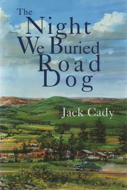 Джек Кейди The Night We Buried Road Dog обложка книги