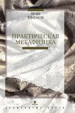 Игорь Ефимов Практическая метафизика обложка книги