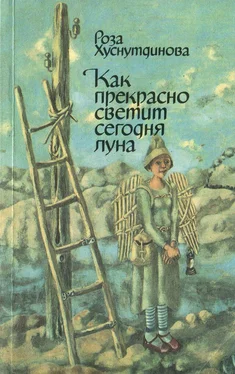 Роза Хуснутдинова Как прекрасно светит сегодня луна обложка книги