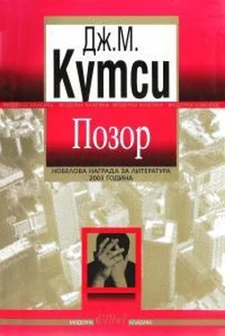 Джон Кутзее Позор обложка книги