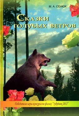Михаил Сенюк Сказки голубых ветров обложка книги