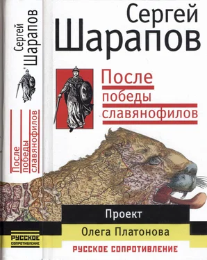 Сергей Шарапов После победы славянофилов обложка книги
