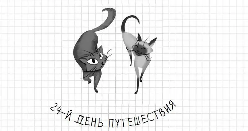 5 часов утра время отправляться в путь Первая и очень важная вещь до того - фото 118