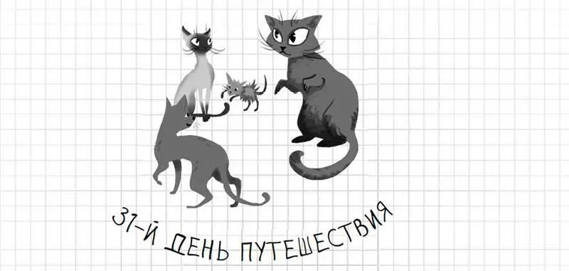 Мои соплеменники храмовые коты были очень изумлены татуировке которая есть у - фото 133