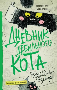 Сюзи Жуффа Дневник дебильного кота. Великое путешествие Эдгара обложка книги