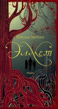 Фиона Мозли Элмет обложка книги