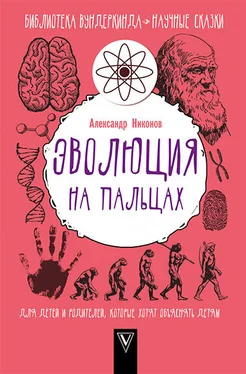 Александр Никонов Эволюция на пальцах обложка книги