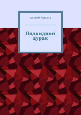 Андрей Ангелов Подкидной дурак обложка книги