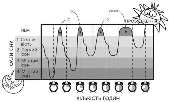 Цикли REM і неREMфаз упродовж однієї ночі REM або неREM ось питання - фото 1