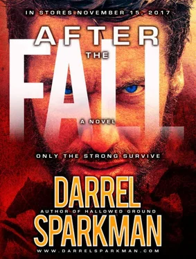Darrel Sparkman After the Fall обложка книги