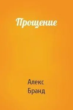 Алекс Бранд Прощение [СИ] обложка книги