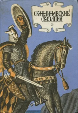 Юрий Светланов Скандинавские сказания обложка книги