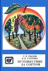 Геннадий Рылов - Путешествие за сортом