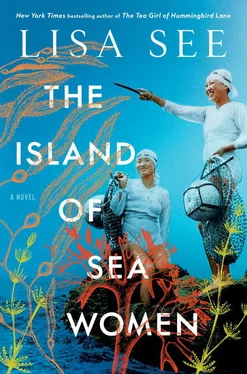 Лиза Си The Island of Sea Women обложка книги