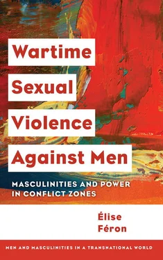 Élise Féron Wartime Sexual Violence Against Men обложка книги