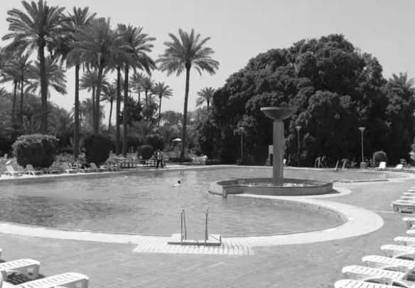 The main pool at the palace and centre of social life at the CPA a good place - фото 31