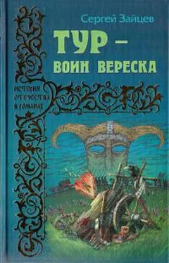 Сергей Зайцев Тур — воин вереска обложка книги