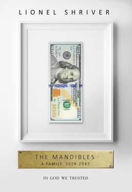 Лайонел Шрайвер The Mandibles: A Family, 2029-2047 обложка книги