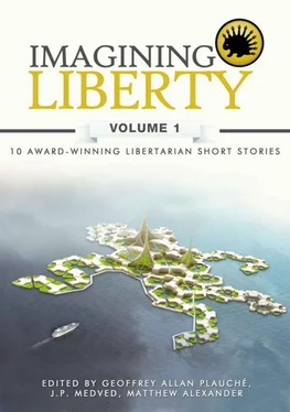 Ahmed Khalifa Imagining Liberty: Volume 1 обложка книги